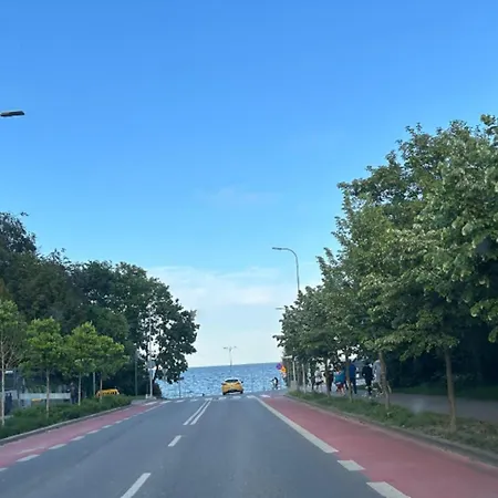 Meduza Prostywynajem Pola Gdynia