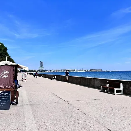 Meduza Prostywynajem Pola * Gdynia