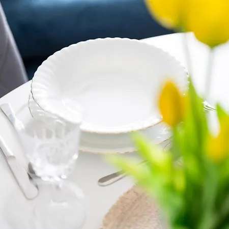 Meduza Prostywynajem Pola *