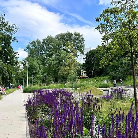 Meduza Prostywynajem Pola