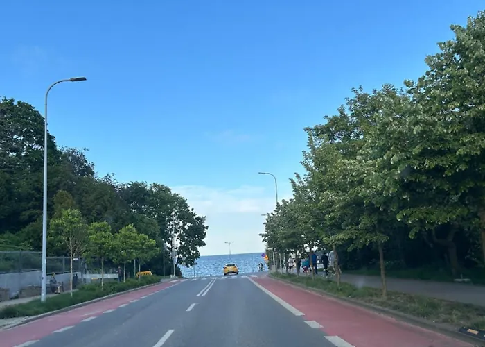 Meduza Prostywynajem Pola Gdyně