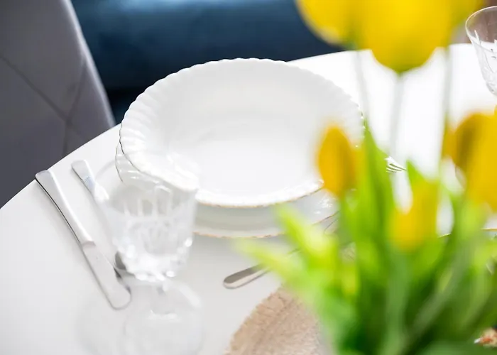 Meduza Prostywynajem Pola *