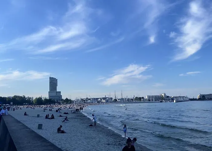 Meduza Prostywynajem Pola * Gdyně